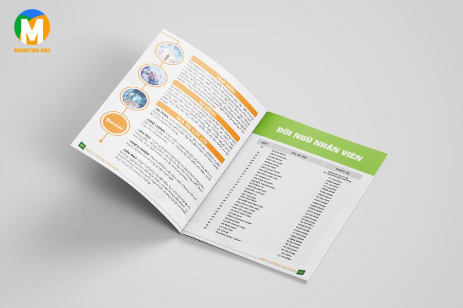 Mẫu hồ sơ năng lực công ty TNHH MTV TAM CƯỜNG