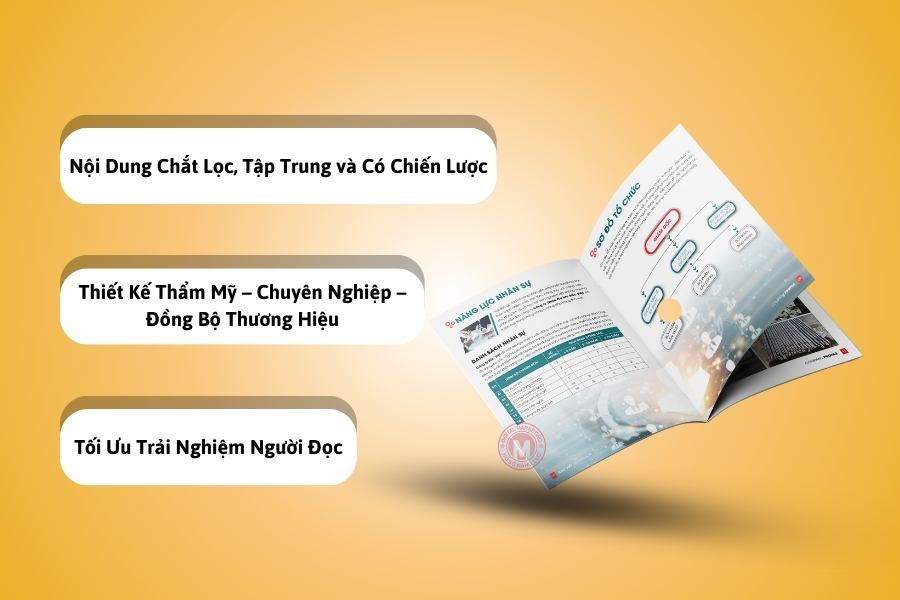 Thiết kế hồ sơ năng lực chuyên nghiệp